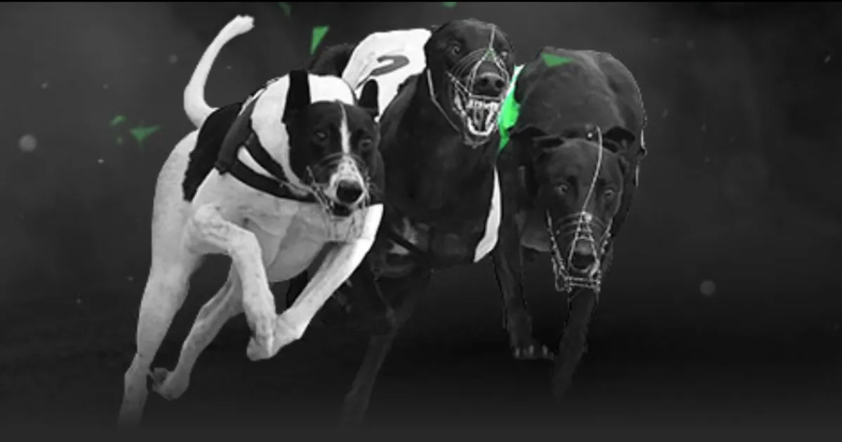 王楚钦点赞,林诗栋登顶,世界第一,半岛体育官网,半岛体育H5官网入口,半岛体育网站,半岛体育官网娱乐,半岛体育H5登录入口